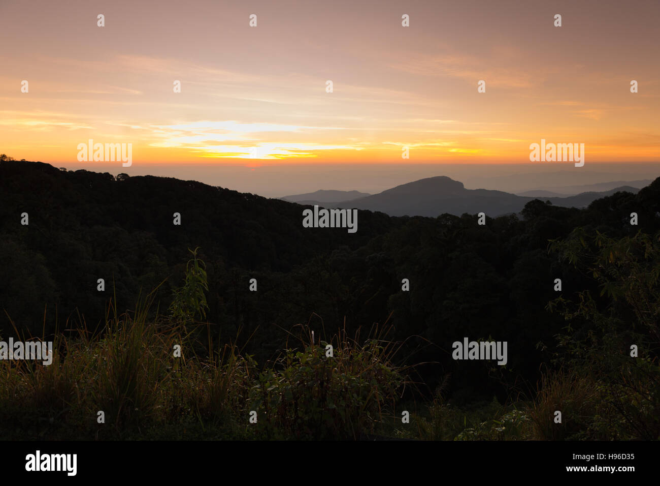 Paysage de forêts de montagne sous matin ciel avec nuages dans la lumière du soleil Banque D'Images