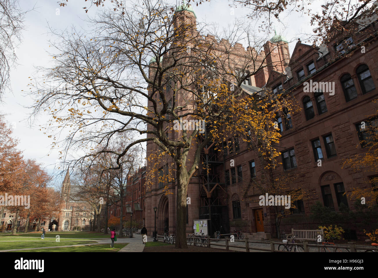 Les bâtiments du vieux campus à l'université de Yale, New Haven, Connecticut Banque D'Images