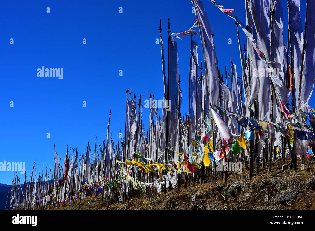 Les drapeaux de prières au Bhoutan Banque D'Images