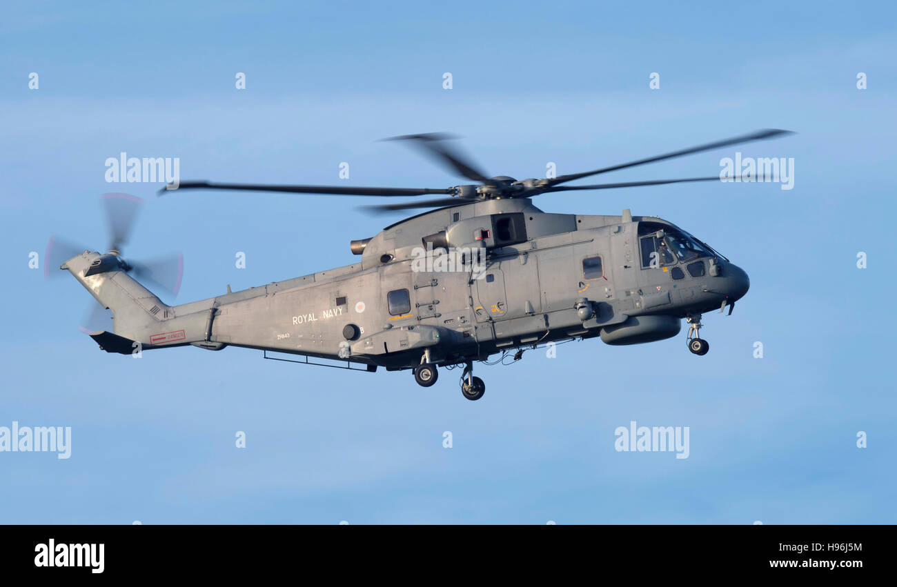 Merlin Mk2 de la Royal Navy à partir d'Hélicoptère RNAS Culdrose Banque D'Images