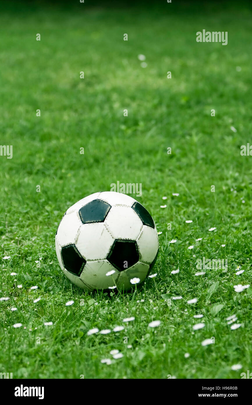 Ballon de soccer dans un champ d'herbe Banque D'Images