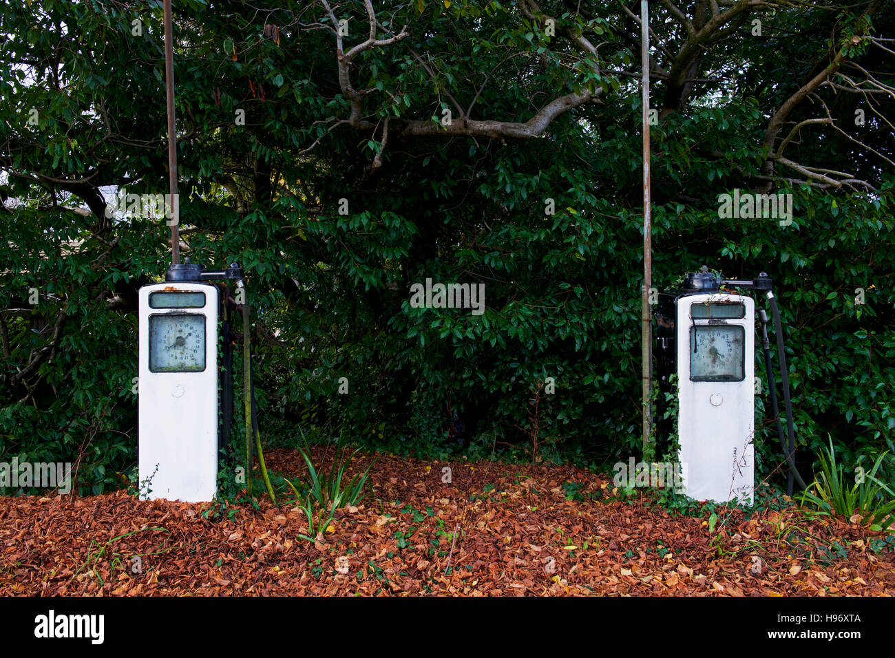Pompes à essence de la station d'essence abandonnés, Exbury, New Forest, Hampshire, Angleterre, Royaume-Uni Banque D'Images Pompes à essence de la station d'essence abandonnés, Exbury, New Forest, Hampshire, Angleterre, Royaume-Uni Banque D'Images