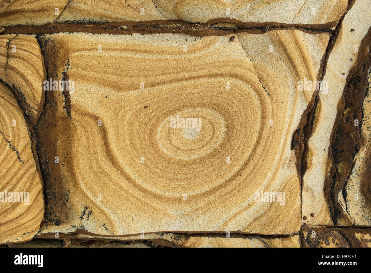 Formation de grès à Maitland, Baie de Bouddi National Park, Nouvelle Galles du Sud - Australie Banque D'Images