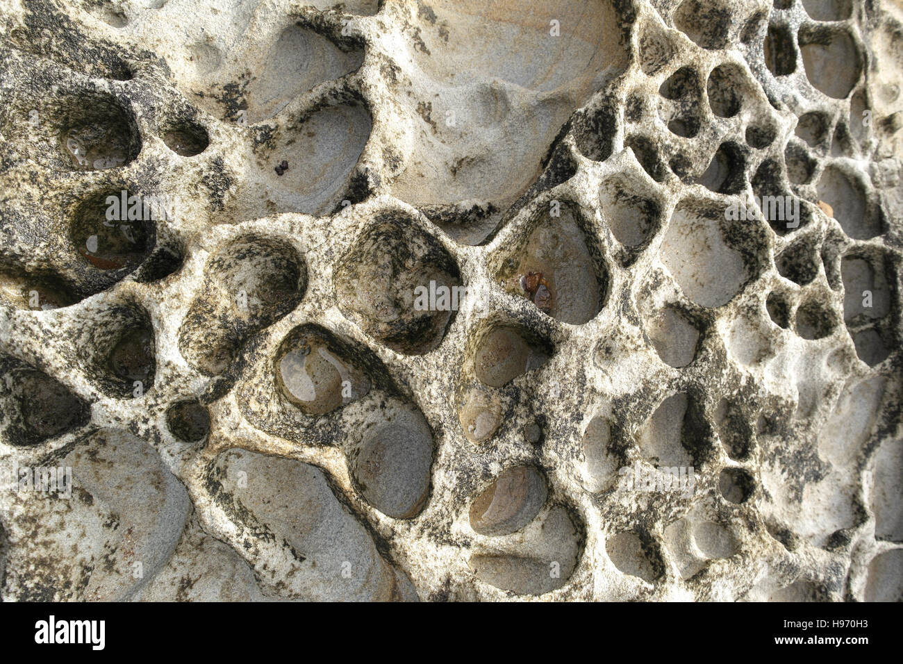 Formation de grès à Maitland, Baie de Bouddi National Park, Nouvelle Galles du Sud - Australie Banque D'Images