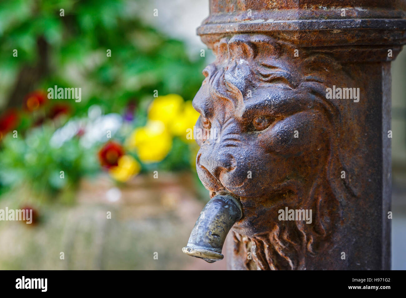Lions-chef fontaine murale dans le parc de la Villa Rufolo, Ravello, Italie. Banque D'Images