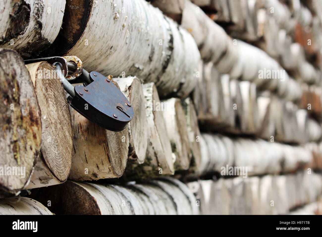 Grumes de bouleau de texture pattern empilés sur les murs de la maison et verrouiller les volets métalliques sur les fenêtres. Banque D'Images