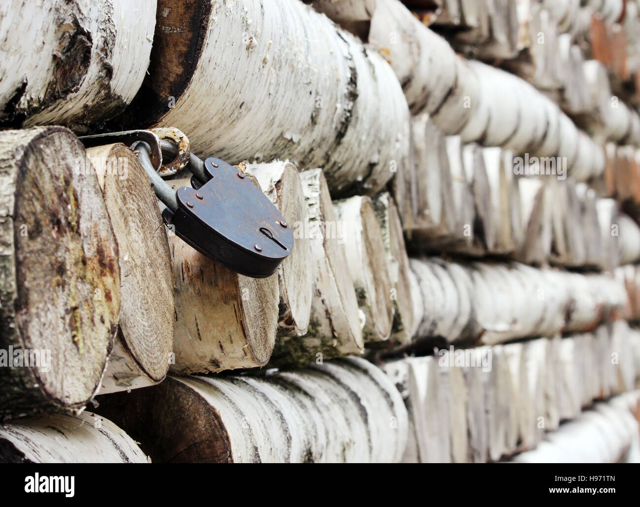 Grumes de bouleau de texture pattern empilés sur les murs de la maison et verrouiller les volets métalliques sur les fenêtres. Banque D'Images