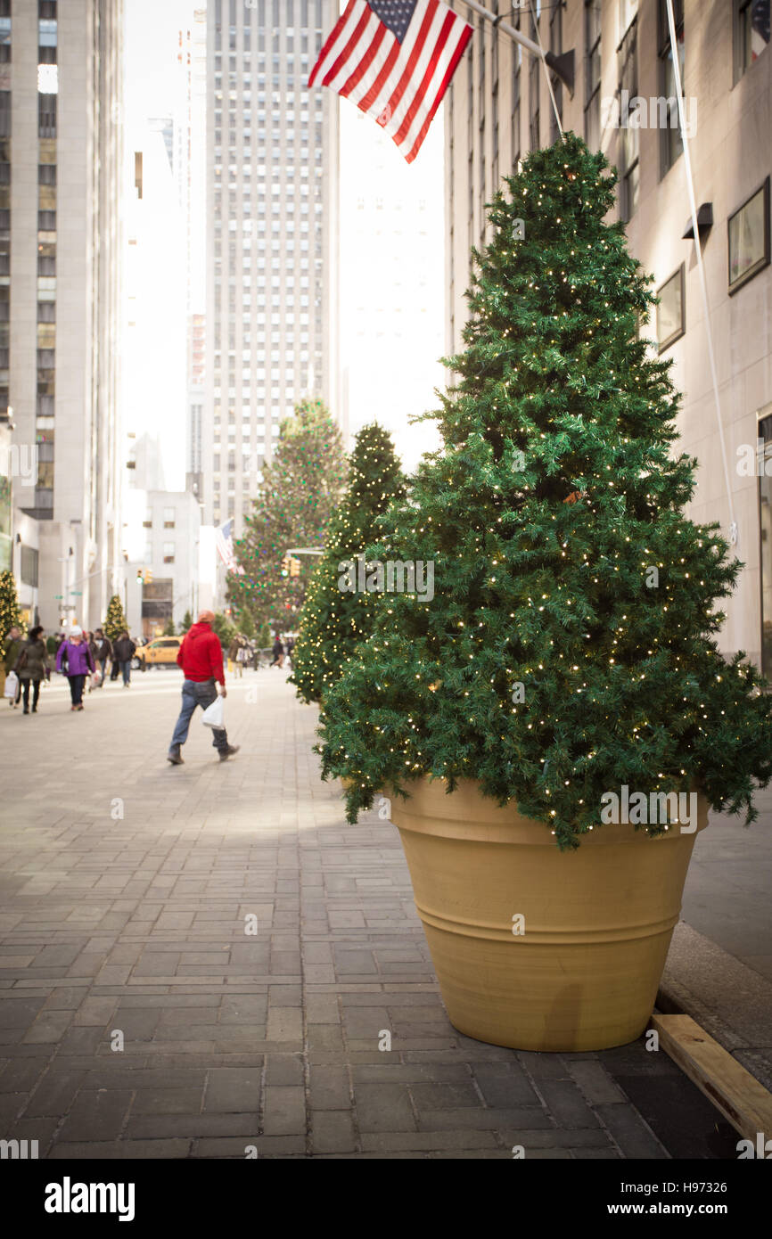 Les arbres de Noël décorer Plaza à New York, au temps des vacances Banque D'Images