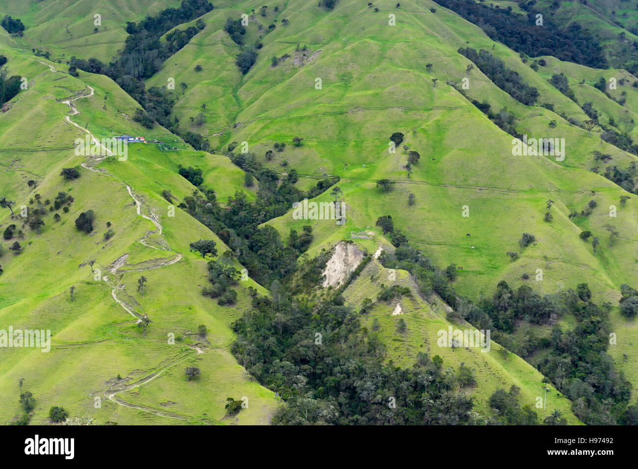 Des collines abruptes en dehors du Salento, en Colombie dans le département de Quindio Banque D'Images