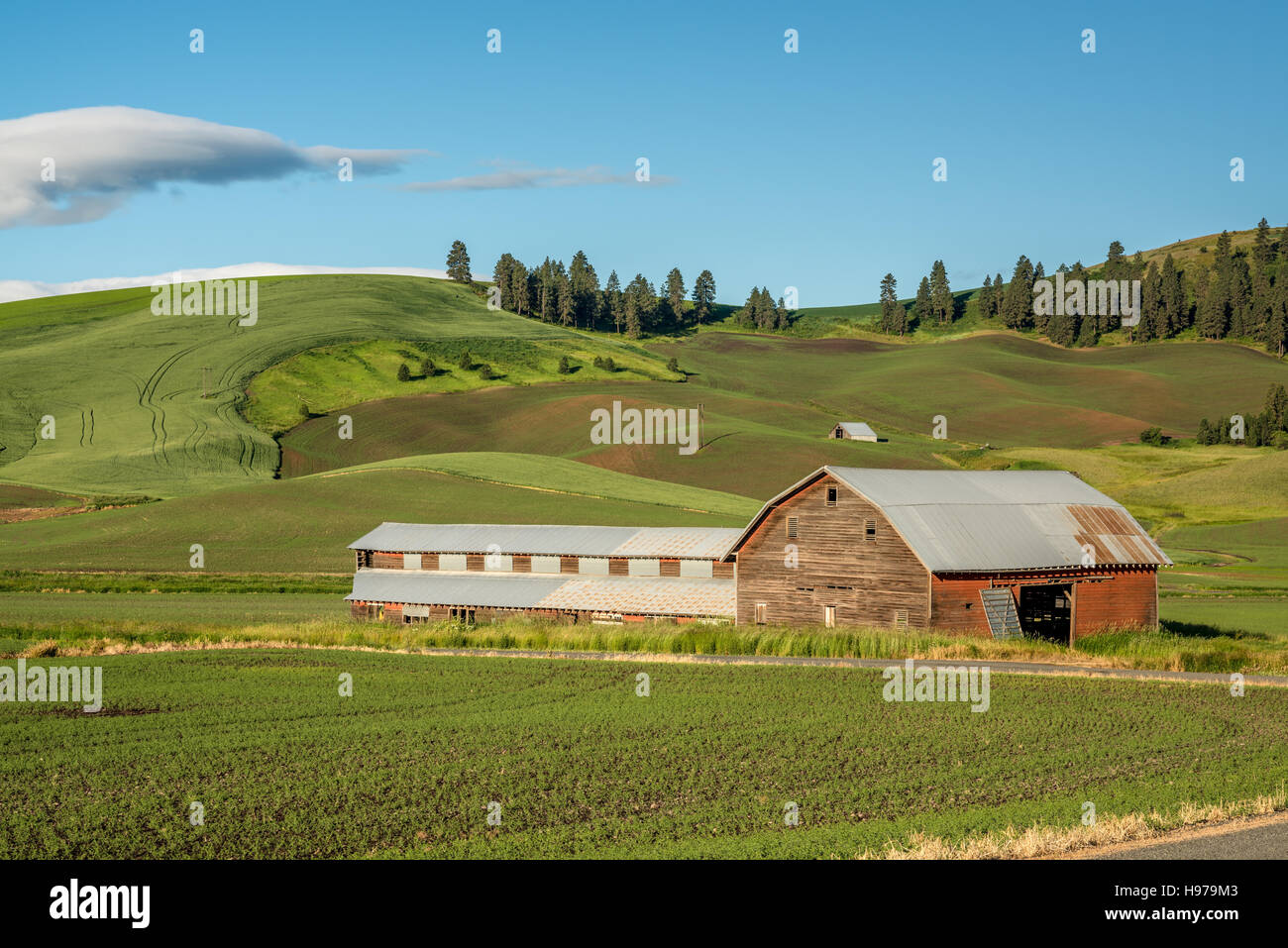 Ferme grange et champs des agriculteurs Banque D'Images