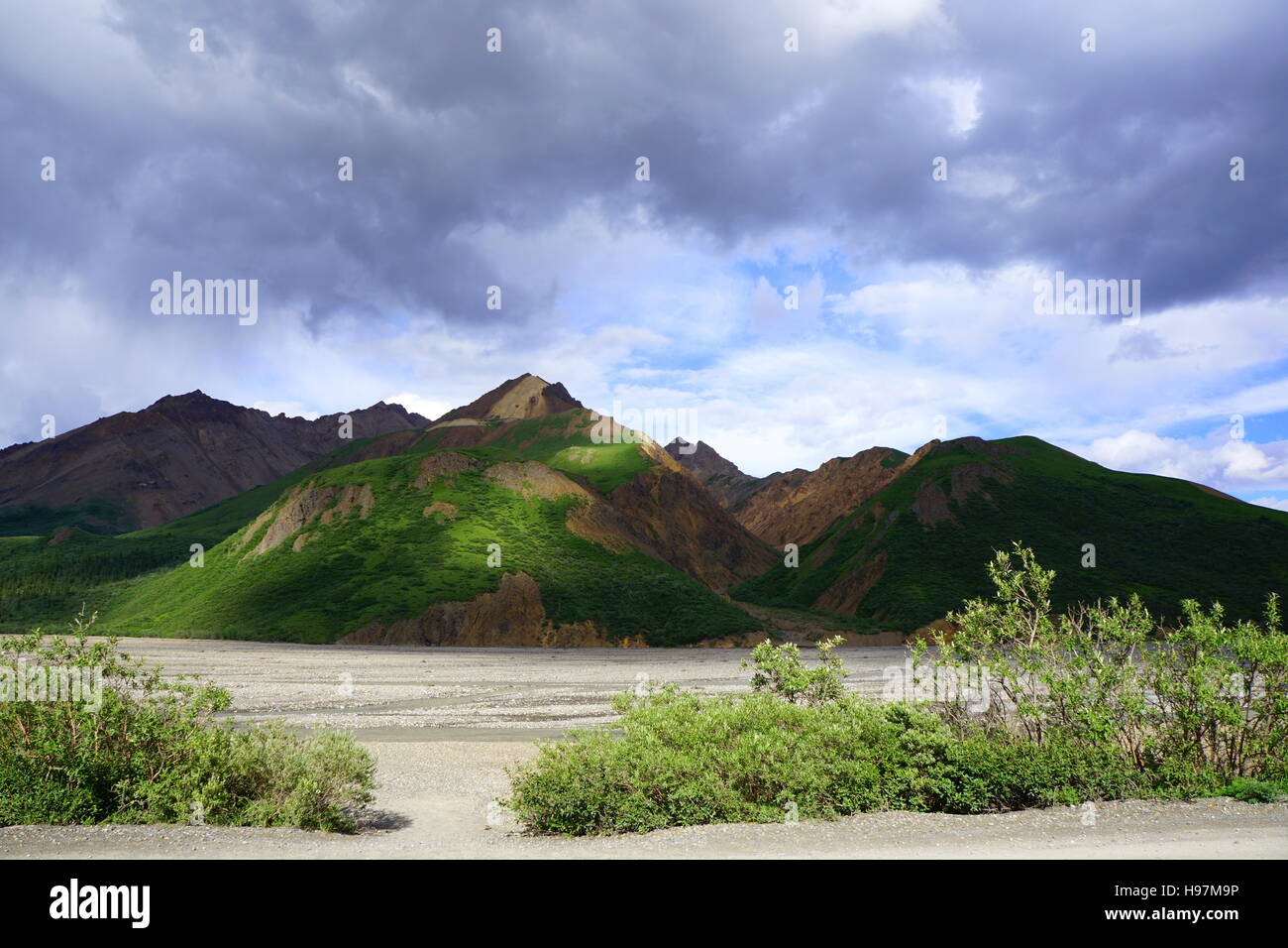 Le parc national Denali et préserver (mont Mckinley), Alaska Banque D'Images