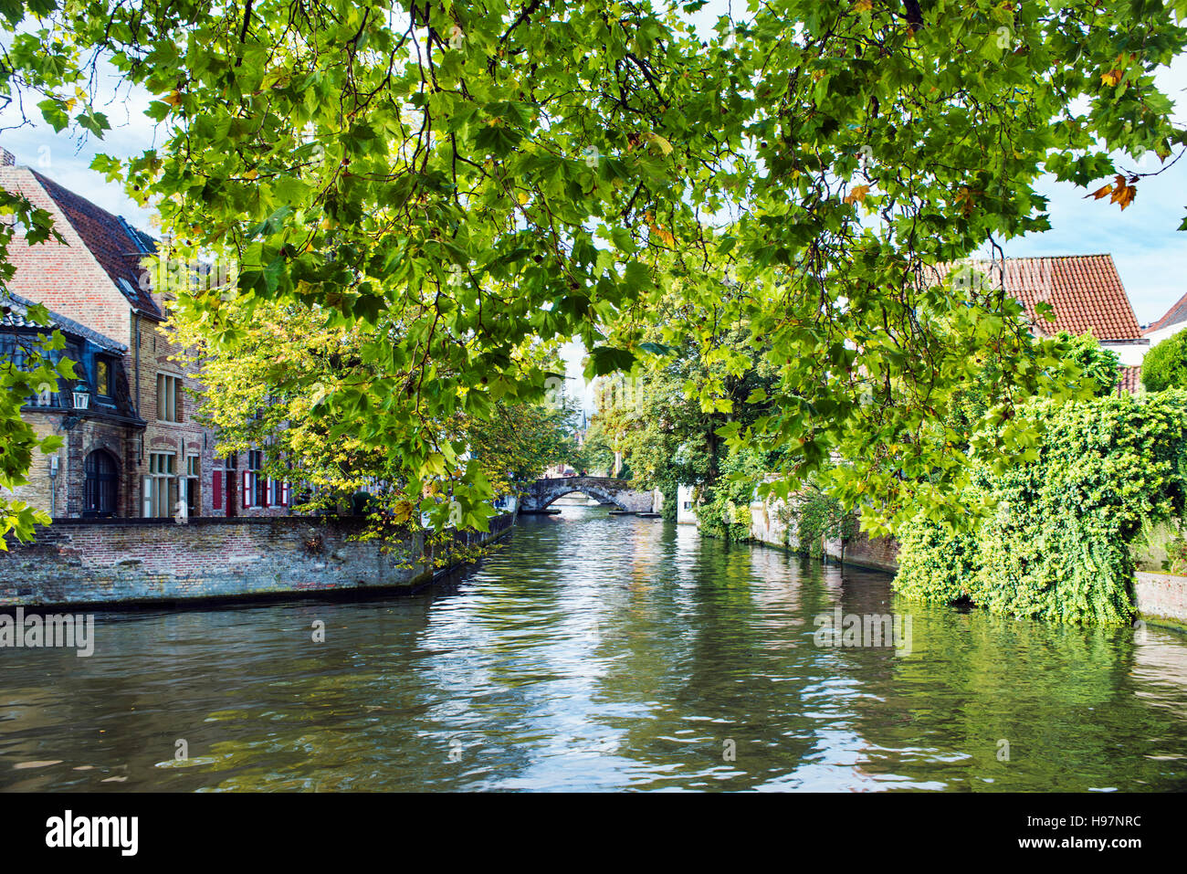 À l'ouest le long d'un canal de Predikherenrei dans la ville de Bruges, Brugge, West-vlaanderen, Belgique Banque D'Images