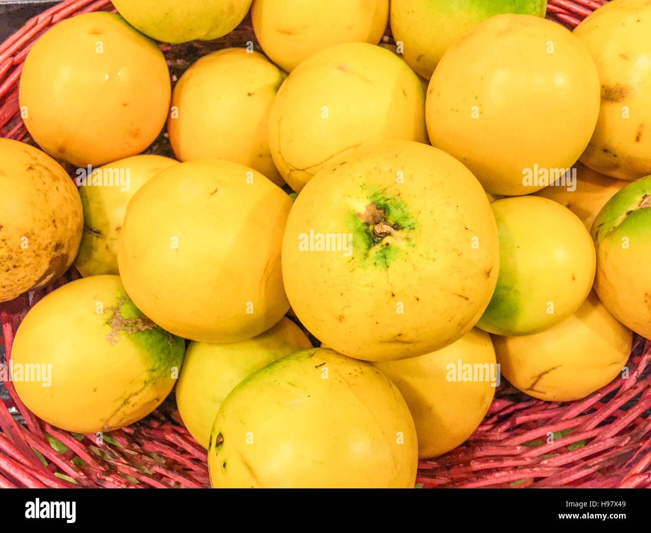 Fruits mûrs Abiu sur l'affichage. Banque D'Images