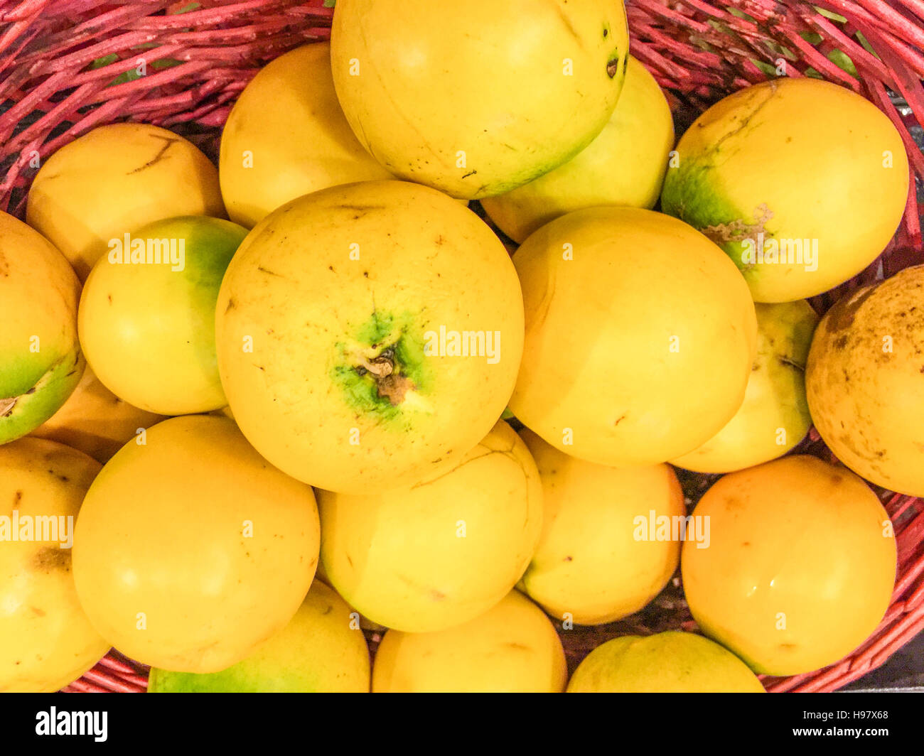 Fruits mûrs Abiu sur l'affichage. Banque D'Images