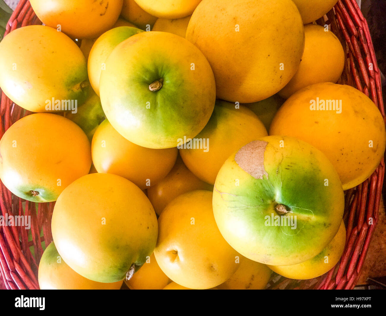 Pouteria caimito Abiu fraîches ou des fruits sur le dessus de la table en bois avec un éclairage naturel. Banque D'Images