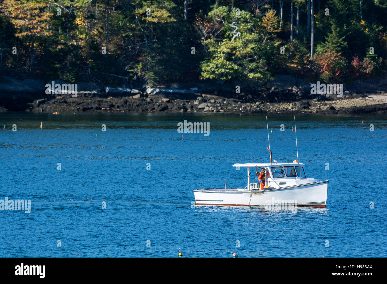 Bateau de pêche au homard à l'automne contre l'eau de l'océan bleu profond sur la côte du Maine, New England Banque D'Images