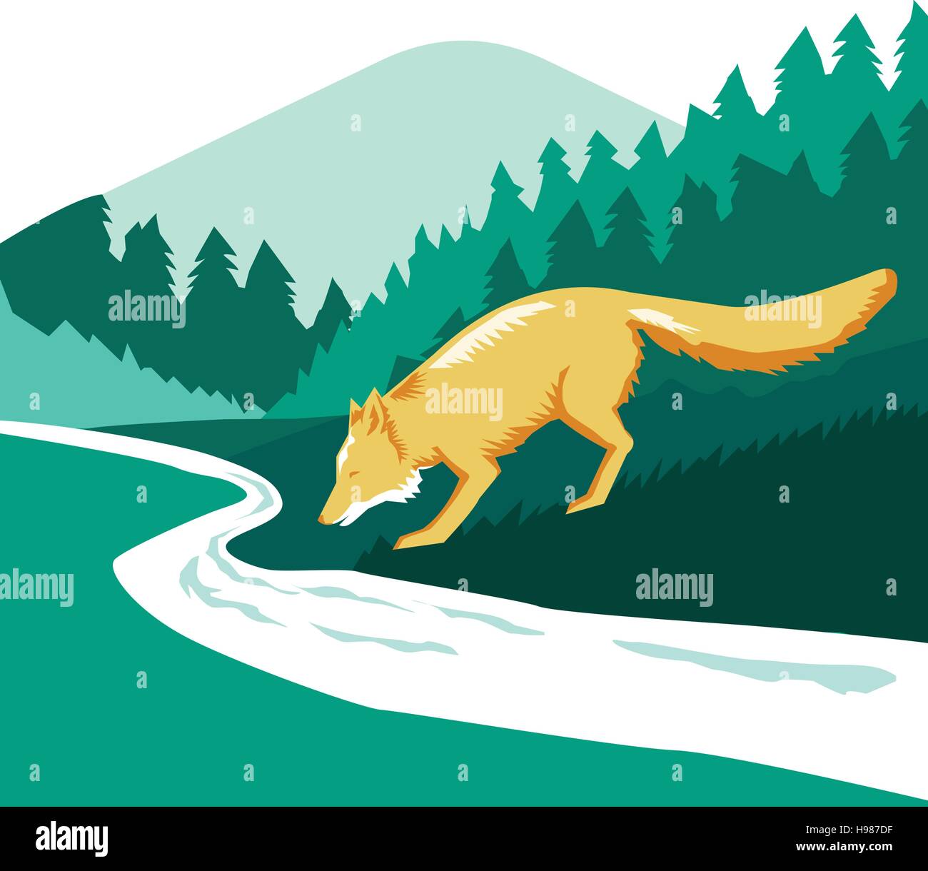 Illustration d'un fox de potable river creek situé à l''intérieur de forme carrée avec des bois de la forêt d'arbres en arrière-plan fait en style rétro. Illustration de Vecteur