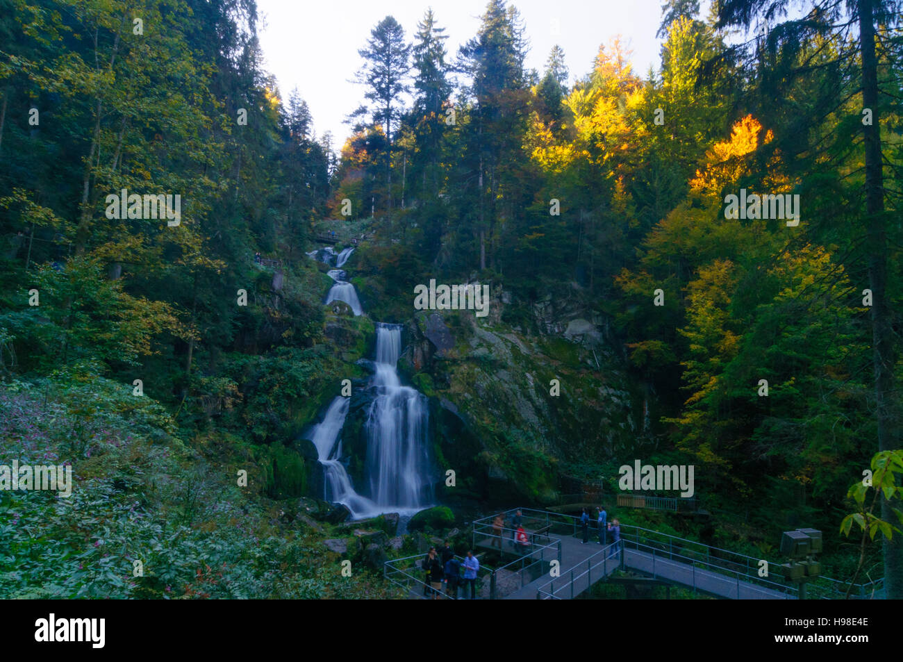 Triberg im Schwarzwald : Triberger Wasserfälle (cascades de Triberg), Schwarzwald, Forêt-Noire, Bade-Wurtemberg, Allemagne Banque D'Images