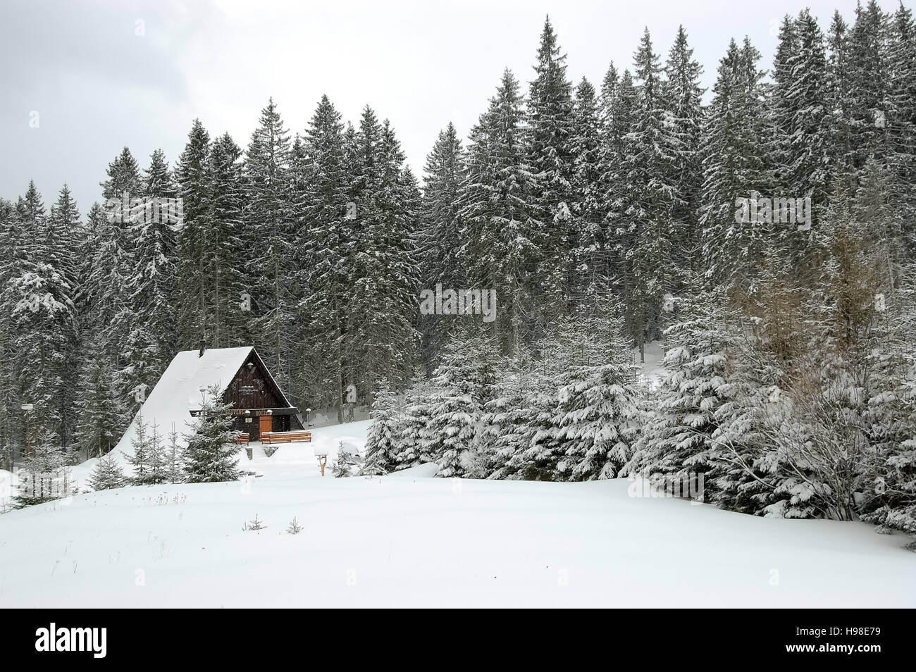 Vue d'hiver avec la forêt et petit restaurant de ski à Demanovska valley, les Basses Tatras, en Slovaquie. Banque D'Images