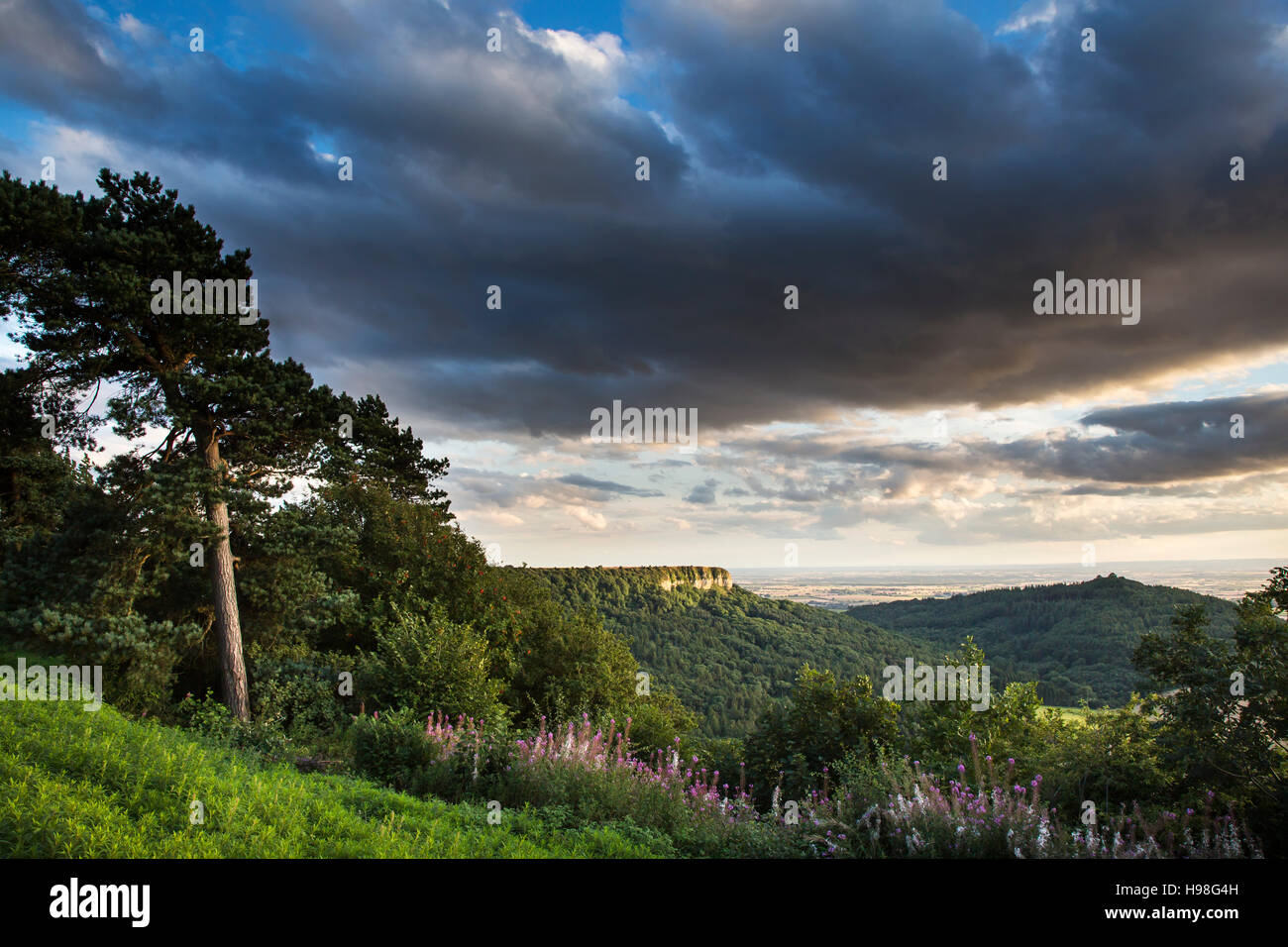 Roulston Scar et Hood Hill près de Sutton Bank, North York Moors National Park Banque D'Images