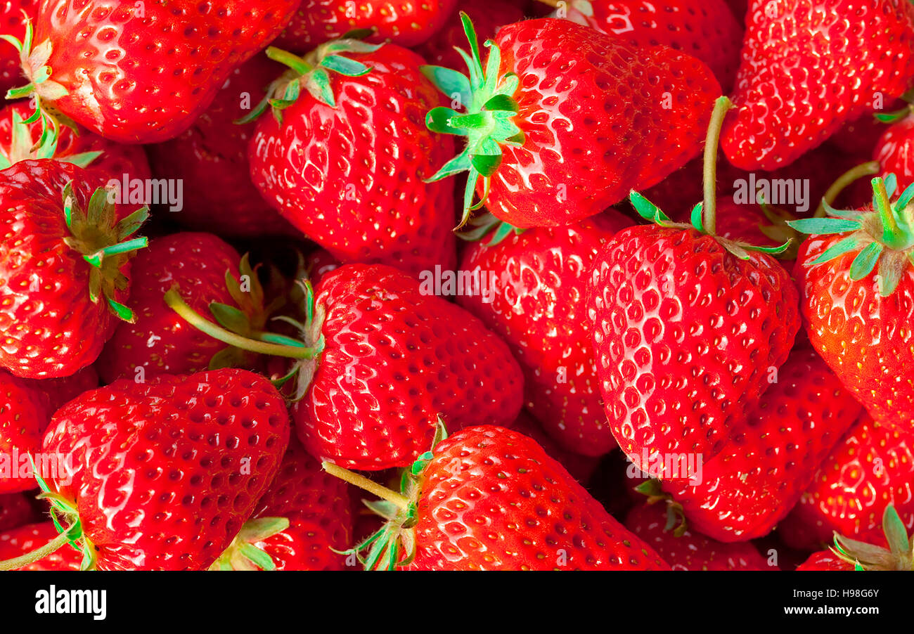 Arrière-plan de fraise mûre juteux rouge Banque D'Images