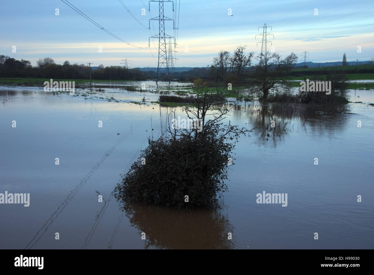 D'anthracite, de la rivière de l'est du Devon, Royaume-Uni. 20 Nov, 2016. L'inondation sur la rivière près de l'épi est du Devon Cullompton, dusk le dimanche 20 novembre 2016 avec une prévision de plus fortes pluies à venir la nuit Hughes-Jones Crédit : Martin/Alamy Live News Banque D'Images