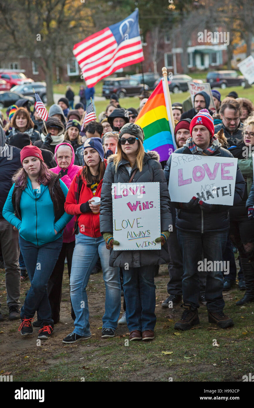 Ferndale, Michigan, USA. 20 Nov, 2016. En réaction à l'élection de Donald Trump, des centaines s'est joint à l'amour Ferndale en banlieue de mars Detroit. Les organisateurs ont déclaré que c'était un "règlement pacifique de solidarité pour soutenir l'un l'autre." Crédit : Jim West/Alamy Live News Banque D'Images
