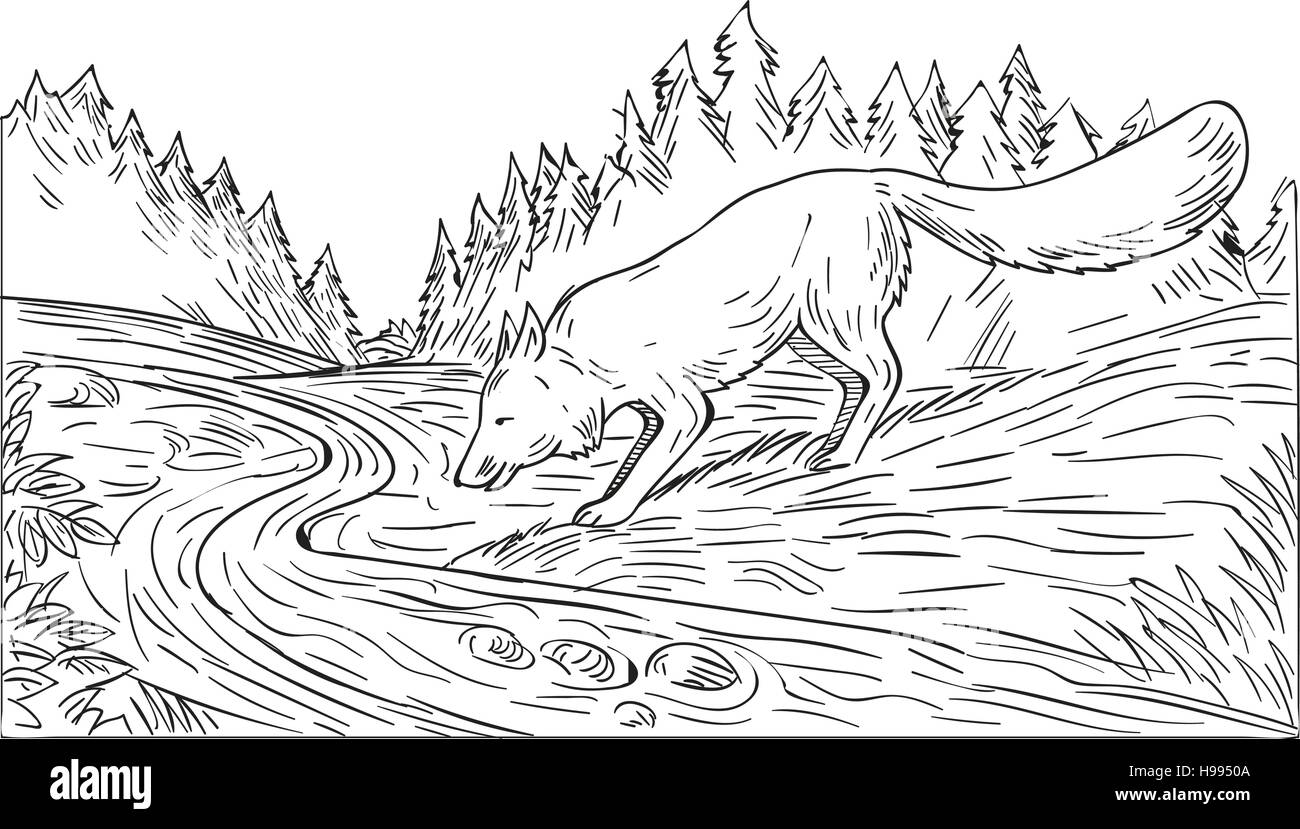 Style croquis dessin illustration d'un fox river creek de potable avec des bois de la forêt d'arbres en arrière-plan en noir et blanc. Illustration de Vecteur