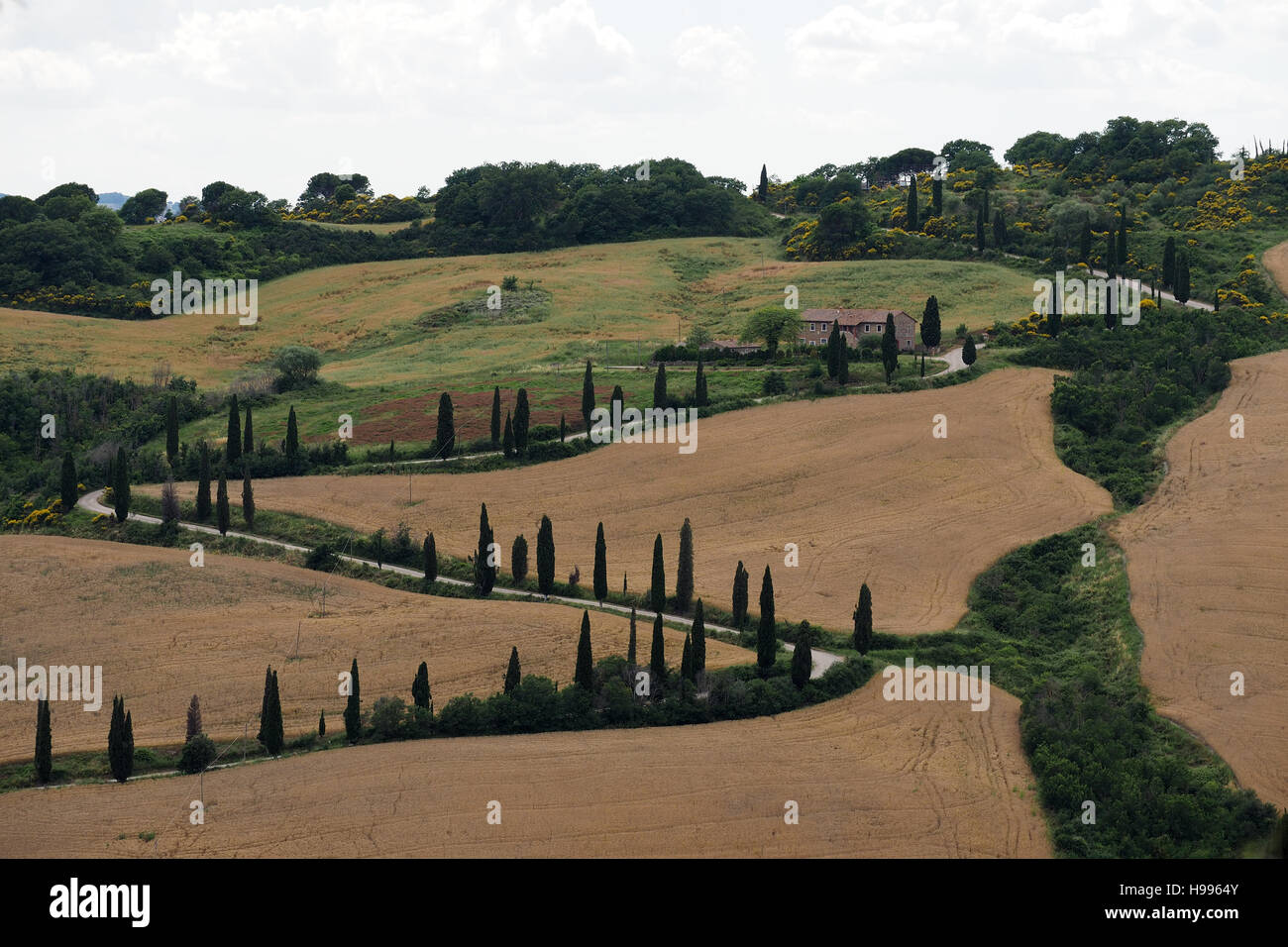 Route sinueuse, toscane, italie Banque D'Images