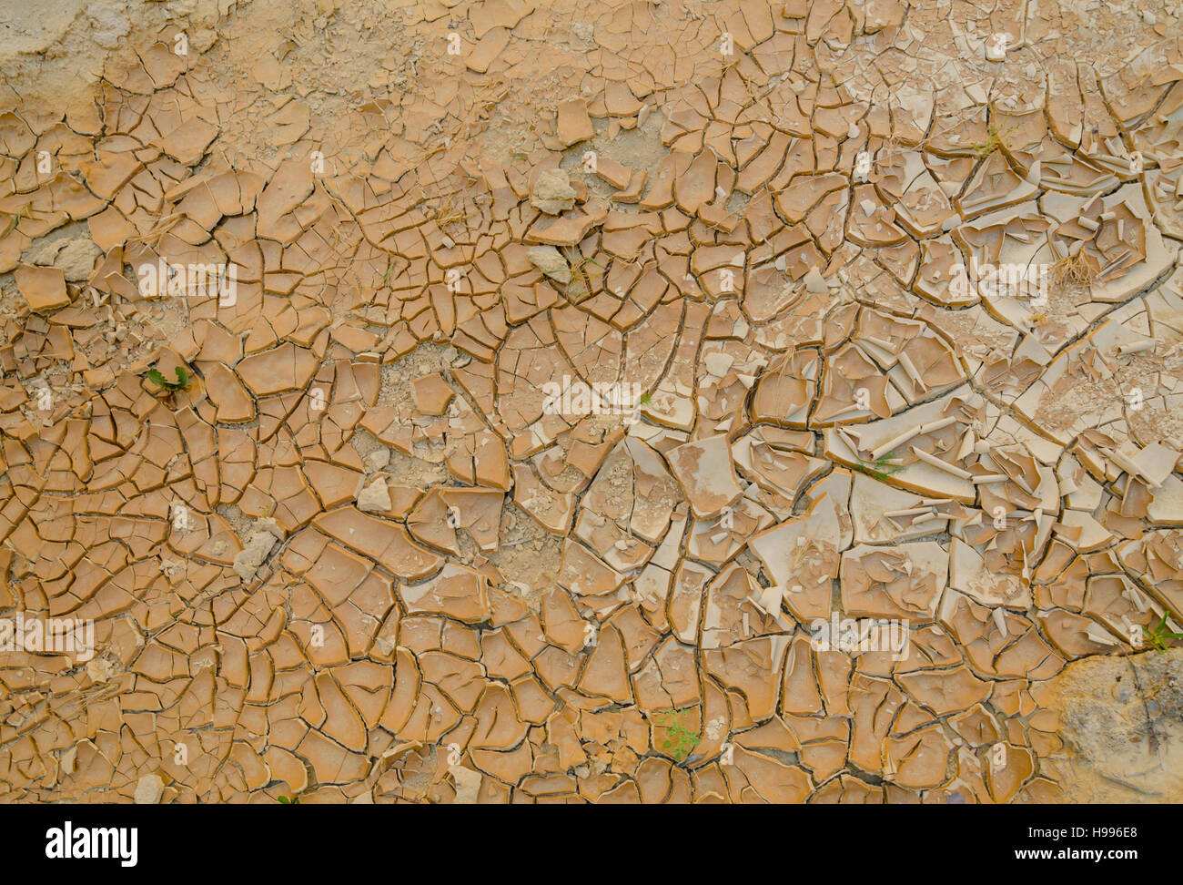 La sécheresse du sol fissuré en lit de rivière à sec du désert de l'Angola Namibe. Les fissures un joli modèle et certaines mauvaises herbes et l'herbe sont de plus en plus entre eux. Banque D'Images