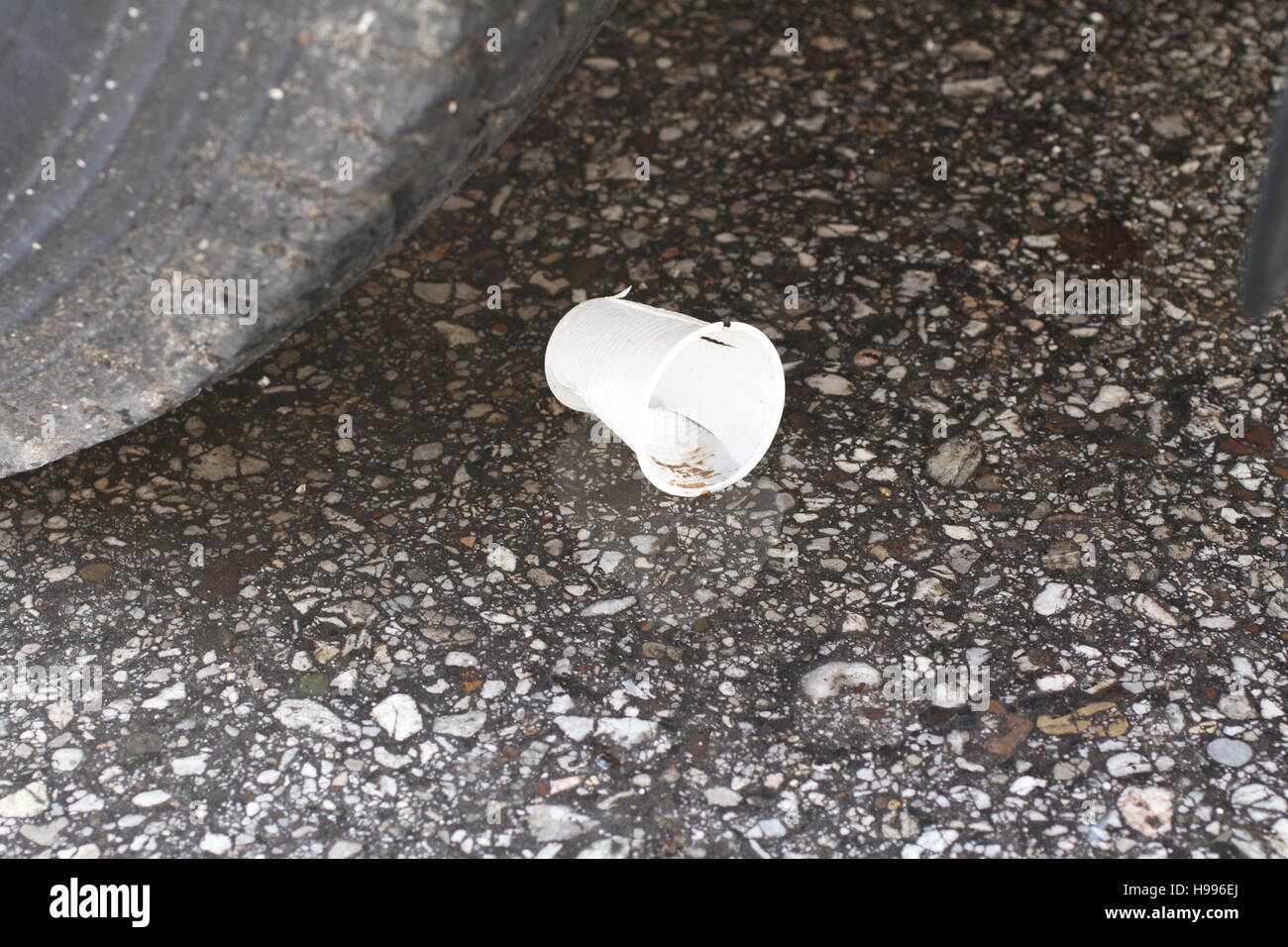 Une tasse en plastique sur la route Banque D'Images