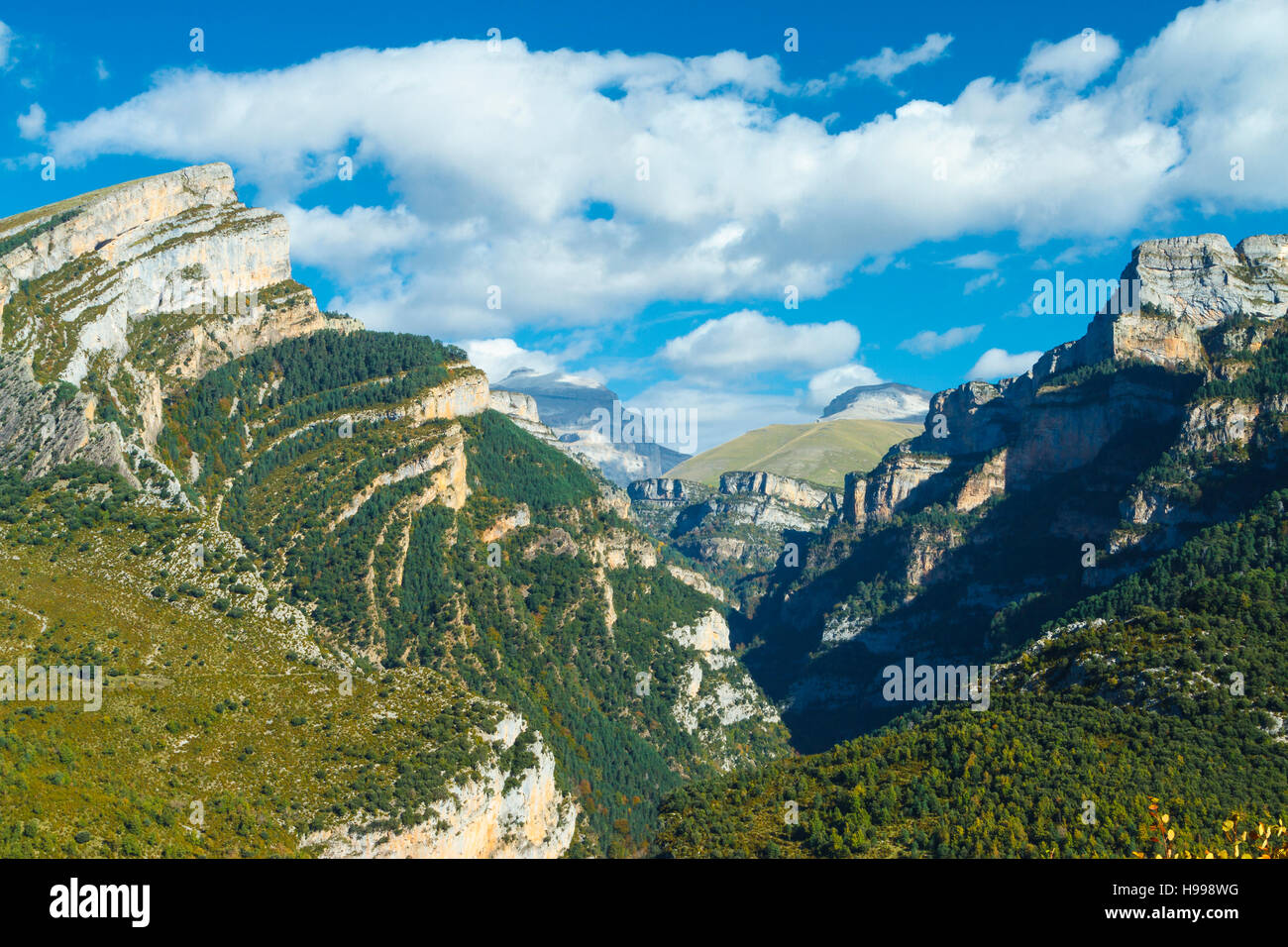 Añisclo Canyon. Parc National d'Ordesa. Pyrénées, Aragon, Espagne, Europe. Banque D'Images