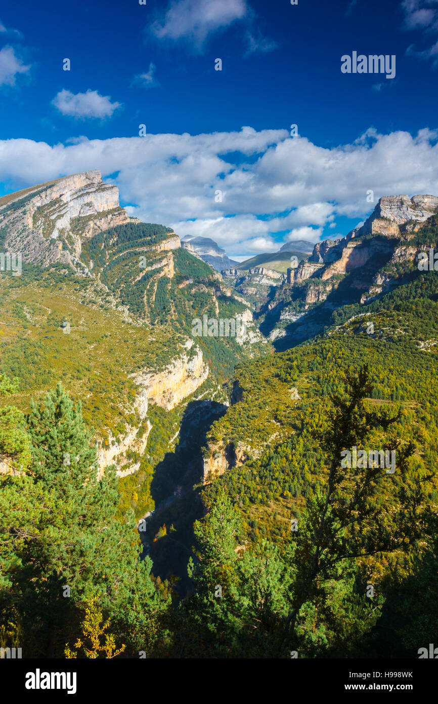 Añisclo Canyon. Parc National d'Ordesa. Pyrénées, Aragon, Espagne, Europe. Banque D'Images