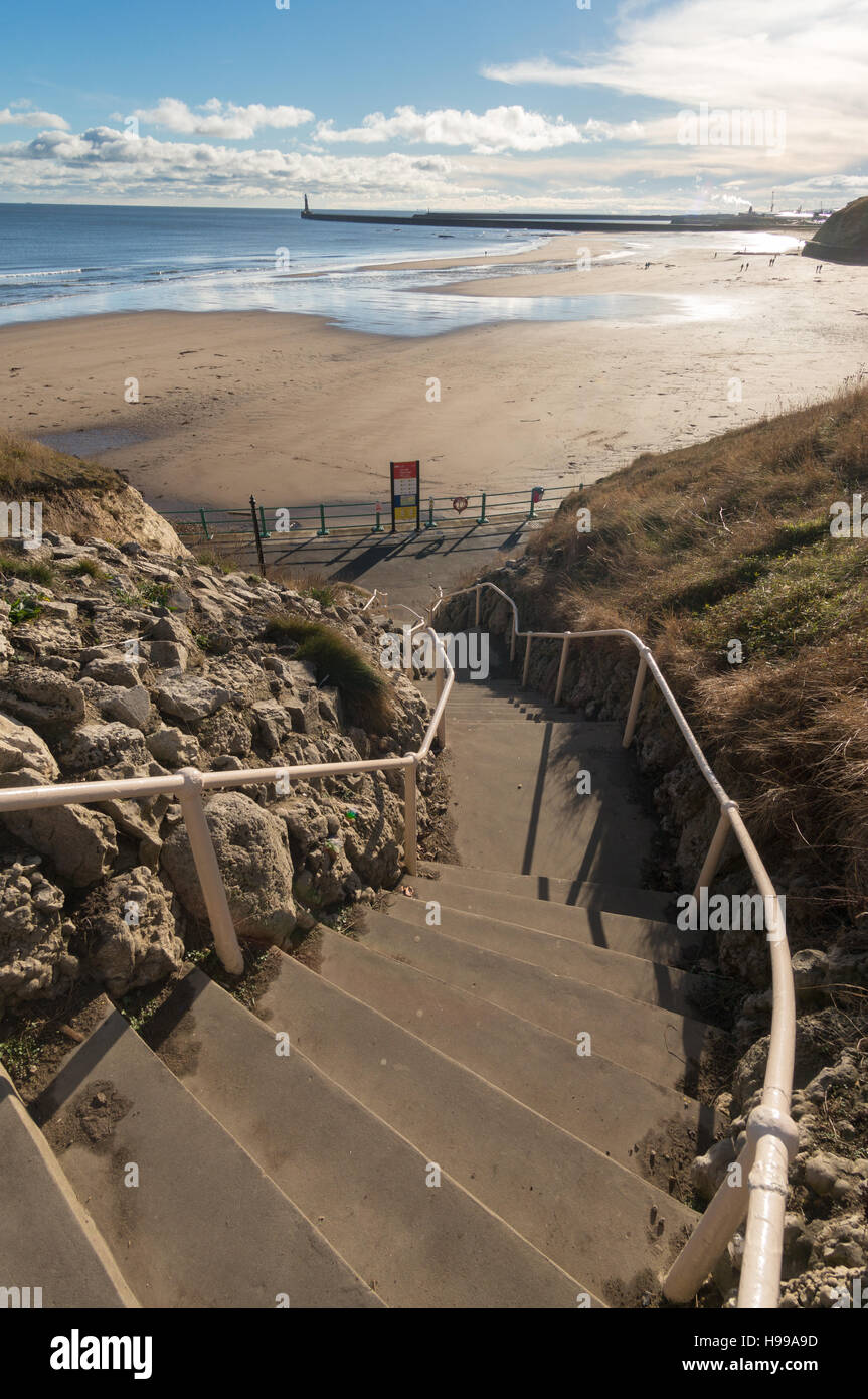 Le chat et le chien comme suit, Roker, Sunderland, Tyne and Wear, England, UK Banque D'Images