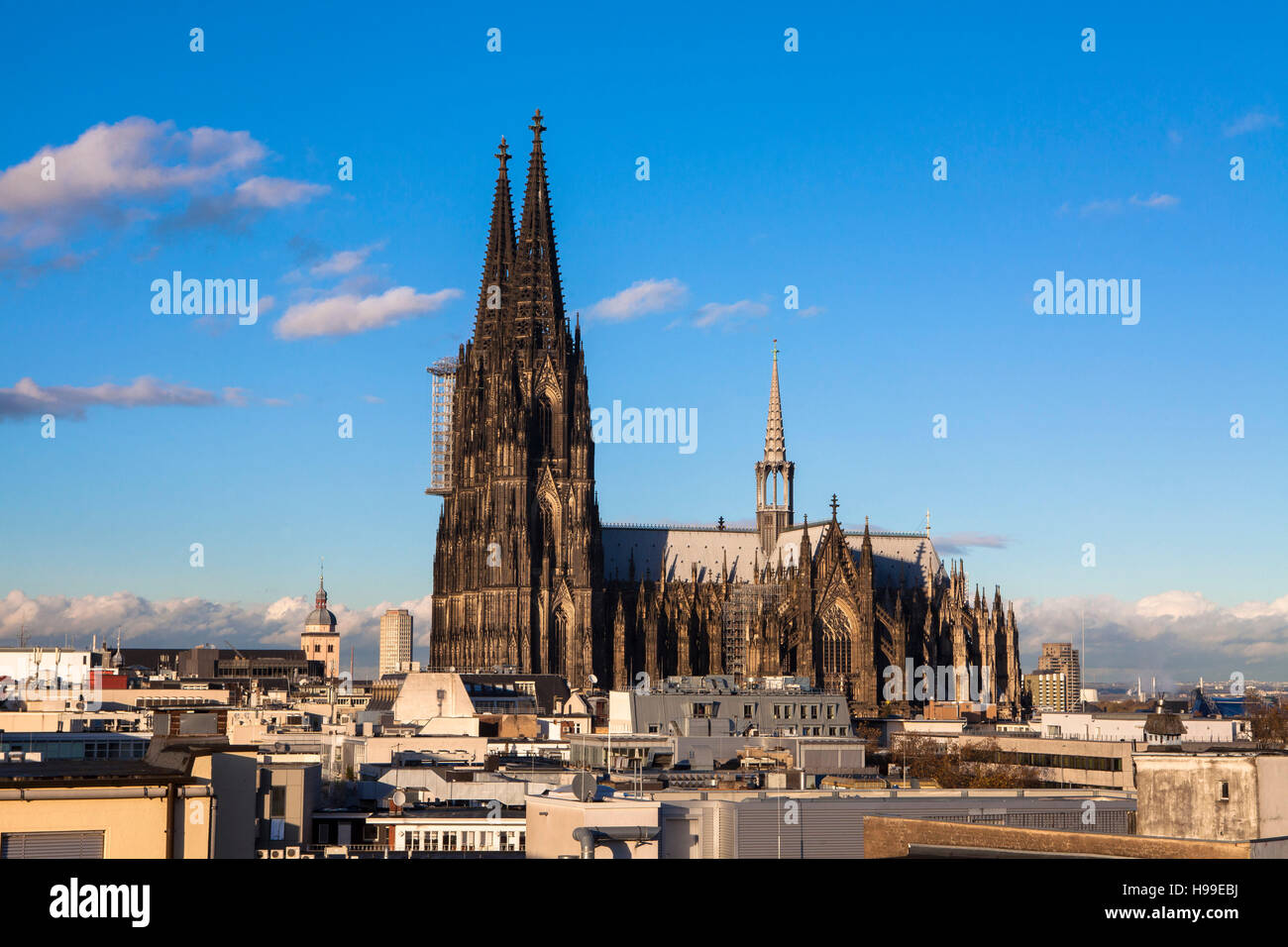 L'Europe, l'Allemagne, Cologne, la cathédrale, vue de la façade sud. Banque D'Images