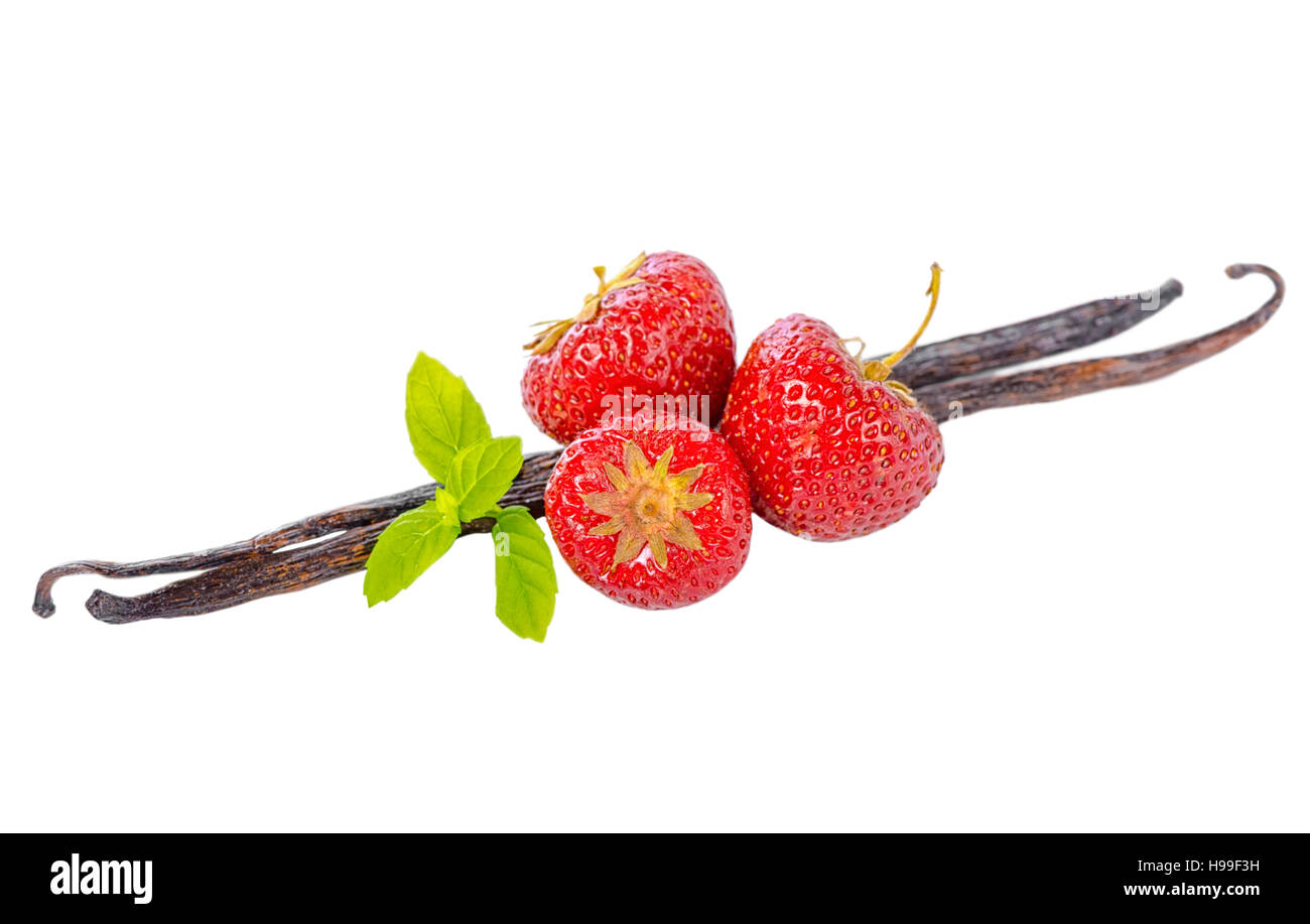 Composition de gousses de vanille avec des feuilles vertes et menthe fraise mûre rouge isolé sur fond blanc, une décoration de crème glacée ou Yogourt, près u Banque D'Images