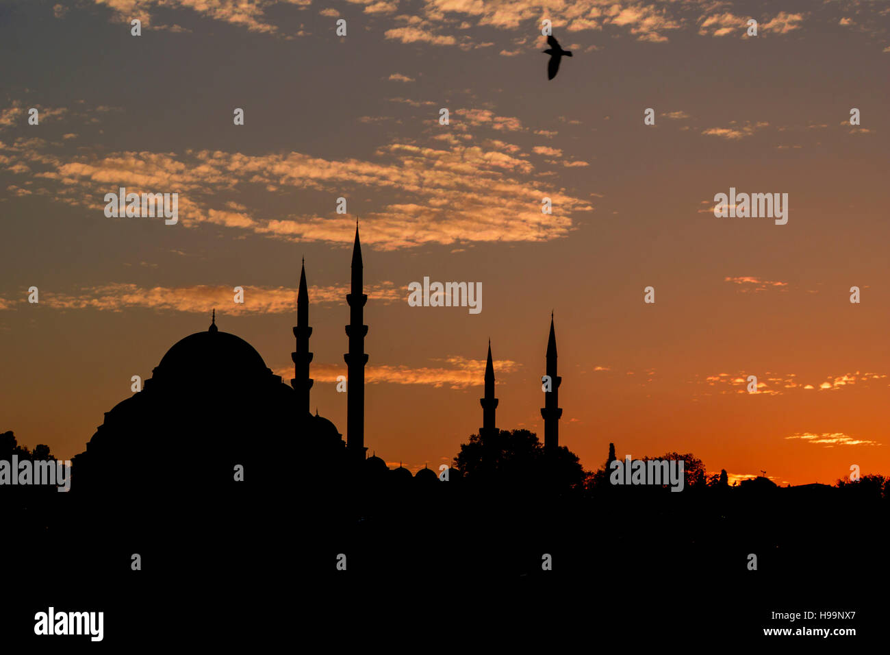 Silhouette d'une mosquée à Istanbul Banque D'Images