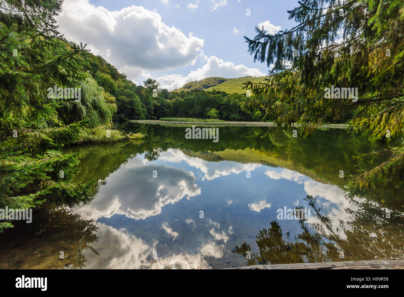 La vallée Szalajka, près de Szilvásvárad, Bukk hills, Hongrie Banque D'Images