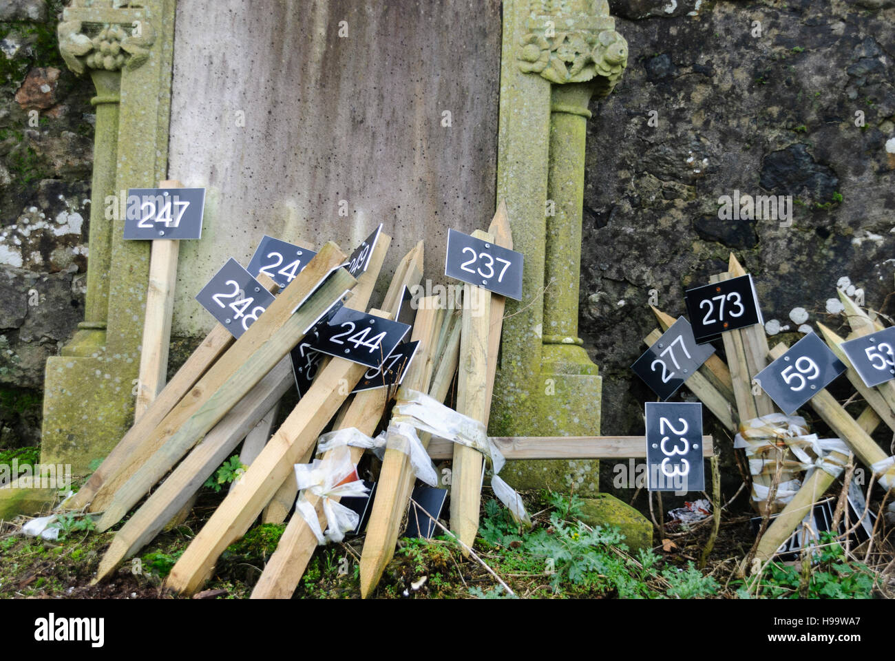 Piquets en bois avec panneaux numérotés afin d'identifier les tombes dans un cimetière. Banque D'Images