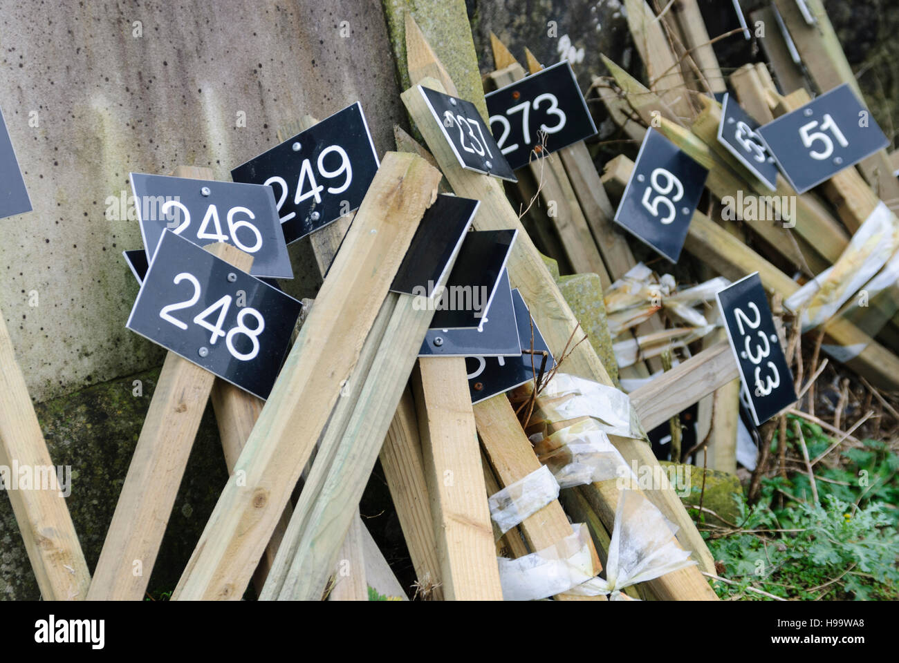 Piquets en bois avec panneaux numérotés afin d'identifier les tombes dans un cimetière. Banque D'Images