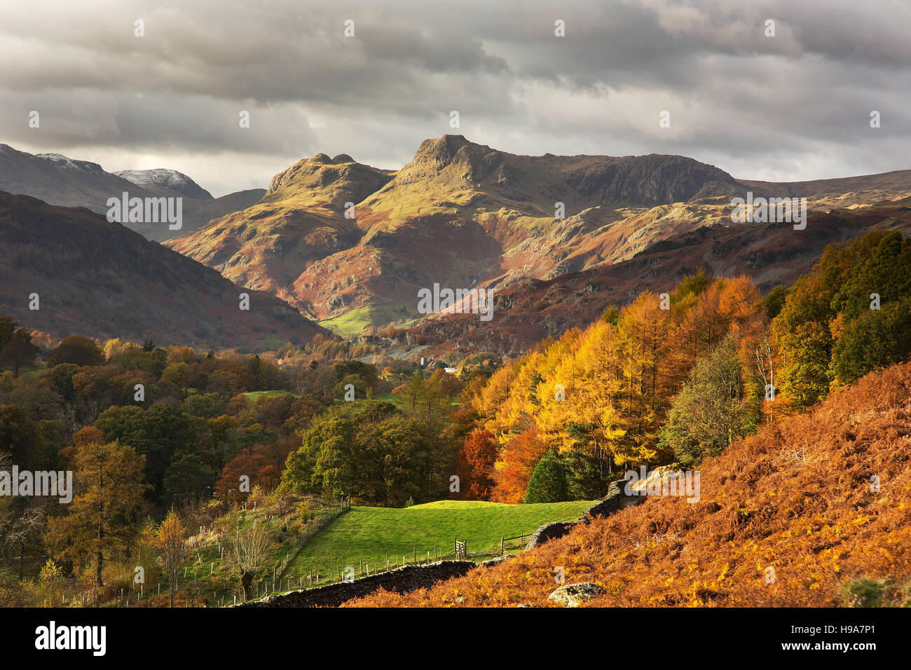 A General View Of Elterwater, Langdale, Lake District National Park Cumbria England Uk Image502017993