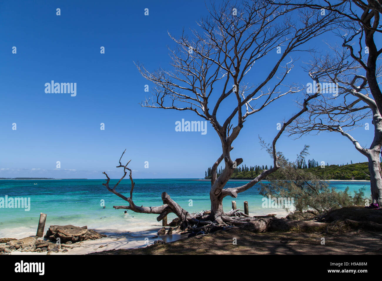 Île des Pins Nouvelle Calédonie . Banque D'Images