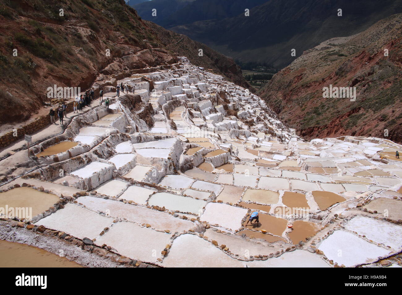 Mines de sel de Maras, Cusco, Pérou Banque D'Images