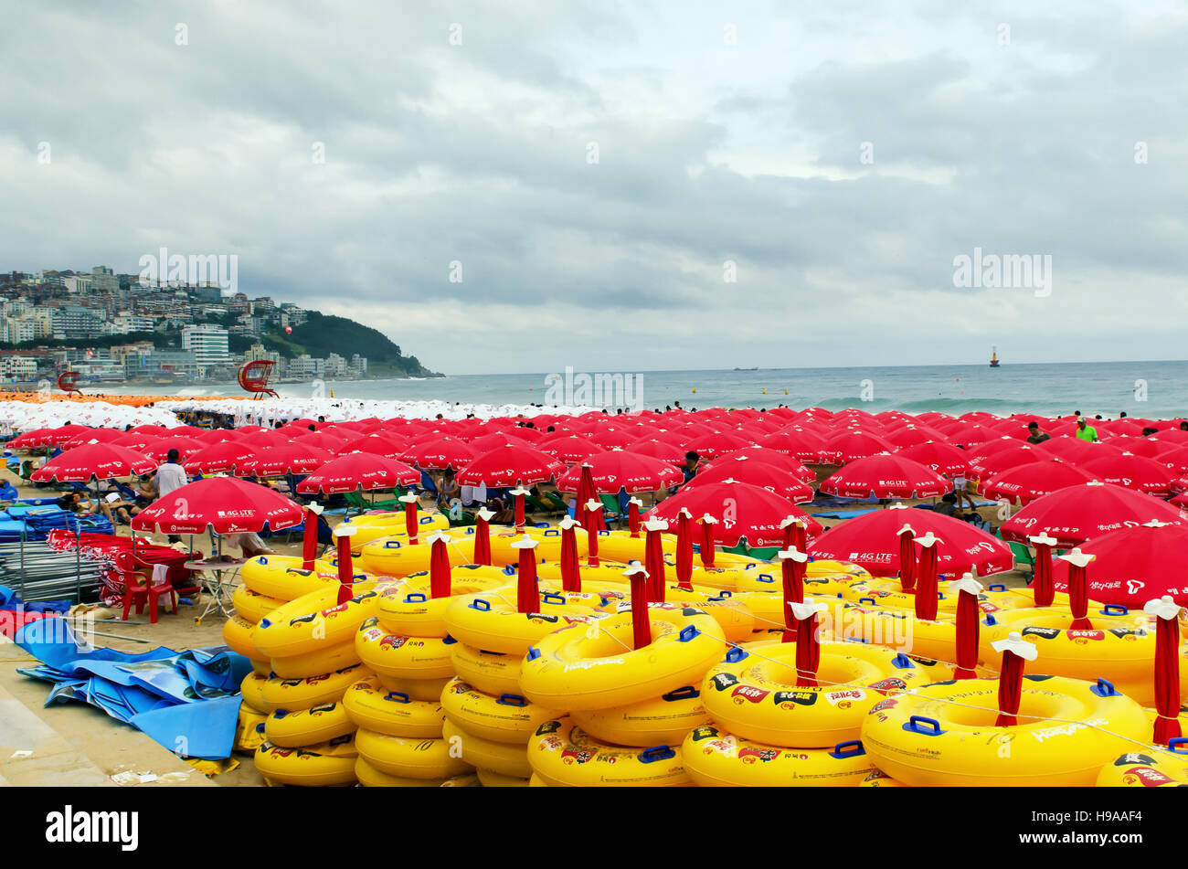 Busan, Corée du Sud - 6 août 2011 : Haueundae beach plein de parapluies durant la haute saison c'est comme une tempête. Banque D'Images