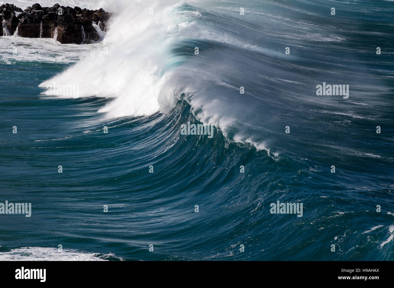 Les grandes vagues de l'océan sur la côte nord d'Oahu Hawaii à Waimea Bay Banque D'Images
