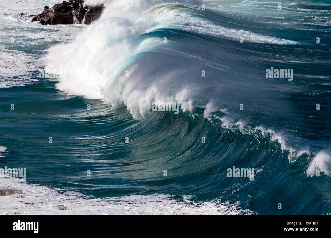 Les grandes vagues de l'océan sur la côte nord d'Oahu Hawaii à Waimea Bay Banque D'Images