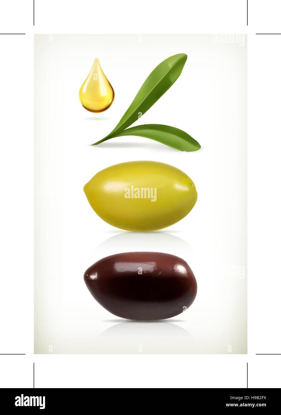 Olives, ensemble d'objets vectoriels Illustration de Vecteur