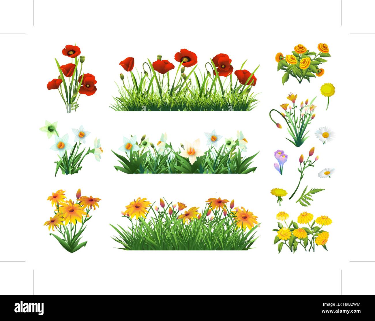 Fleurs et l'herbe ensemble d'éléments du vecteur. La nature et l'écologie Illustration de Vecteur