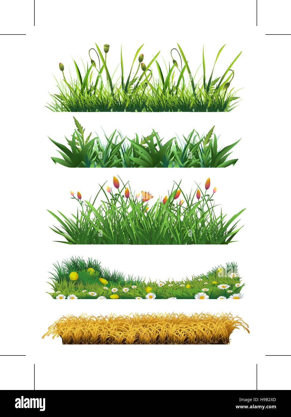 Ensemble d'éléments du vecteur d'herbe. L'herbe fraîche. La nature et l'écologie Illustration de Vecteur