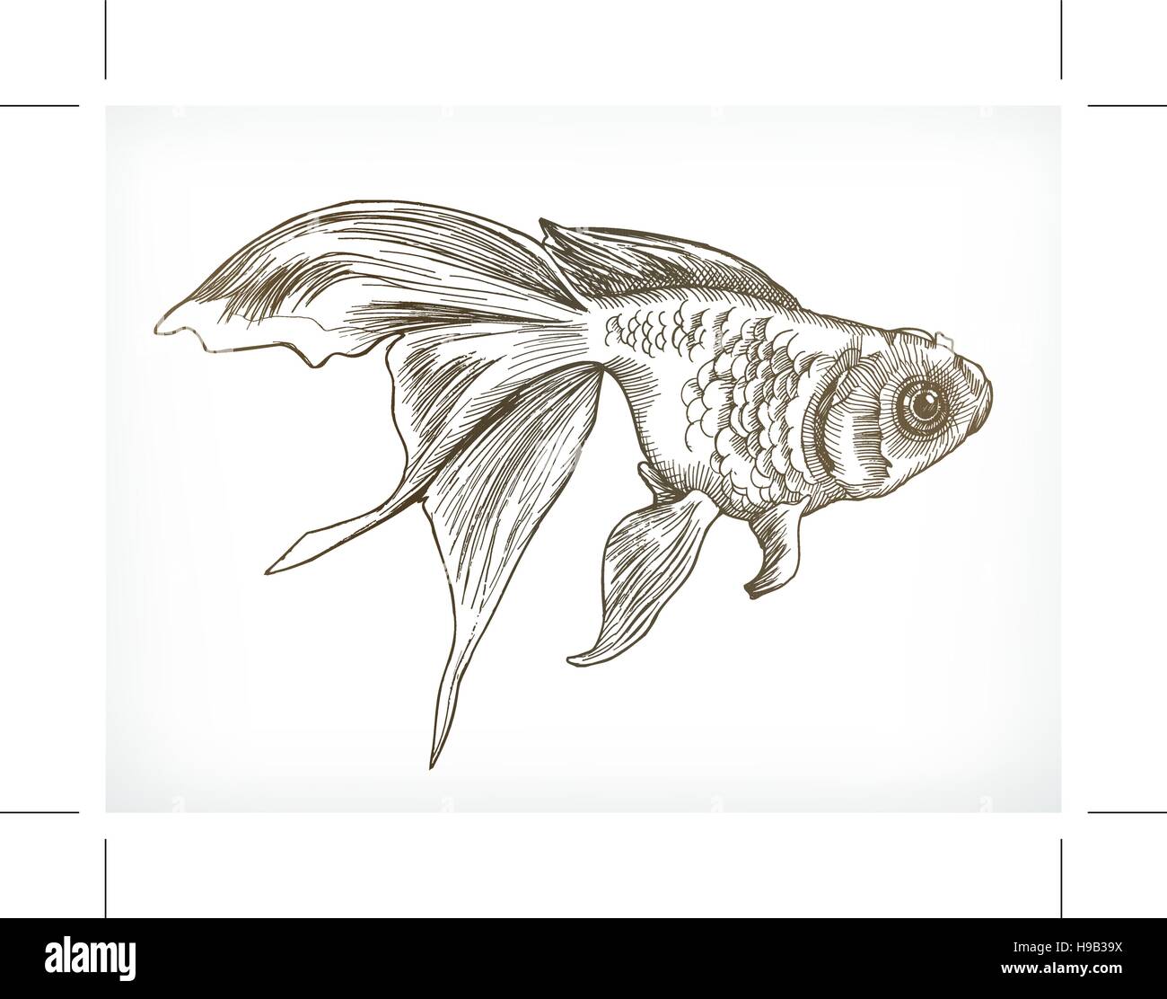 Poisson d'or croquis, dessin à la main, vector Illustration de Vecteur